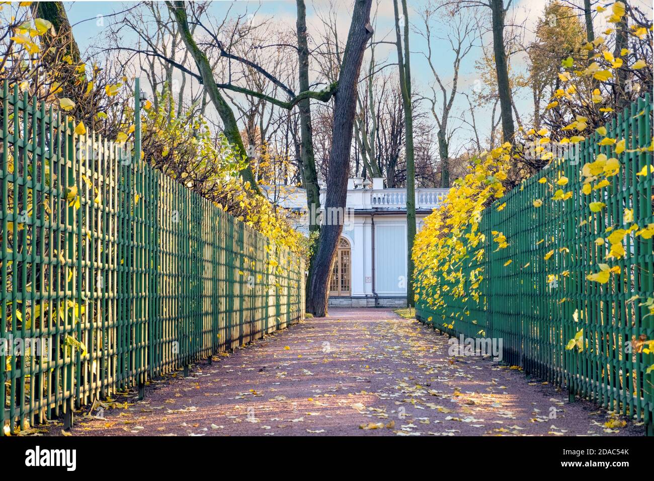 Saint-Petersburg, Russia. November 09, 2020. Empty alley of the Summer Garden. Horizontal orientation, selective focus. Stock Photo