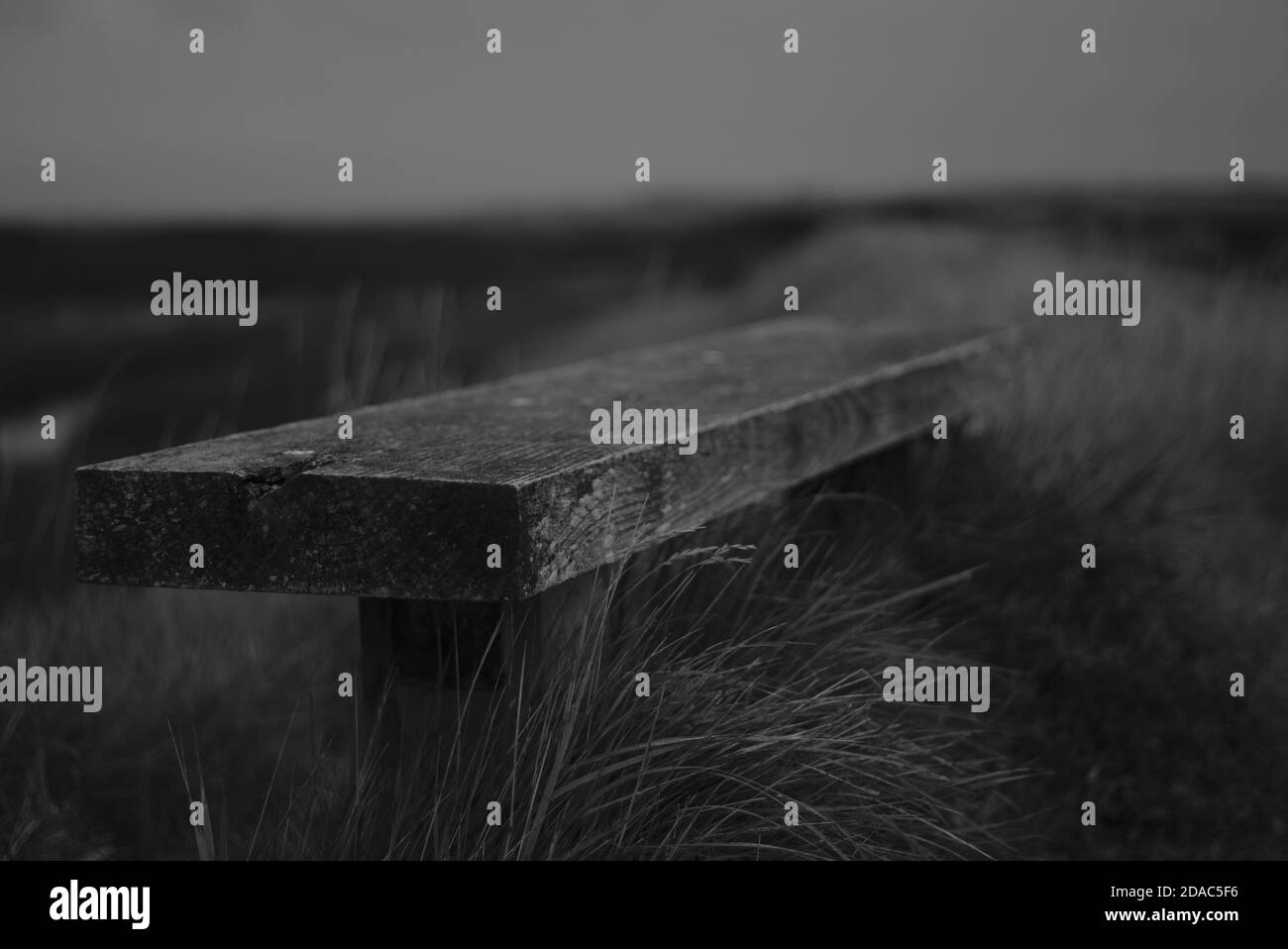Black and White Bench Stock Photo