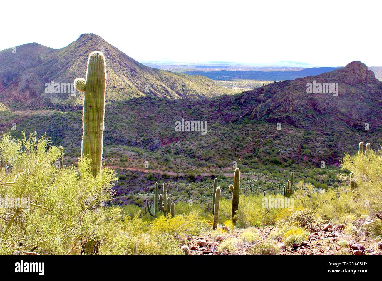 Kachina Grand Canyon National Park High Resolution Stock Photography