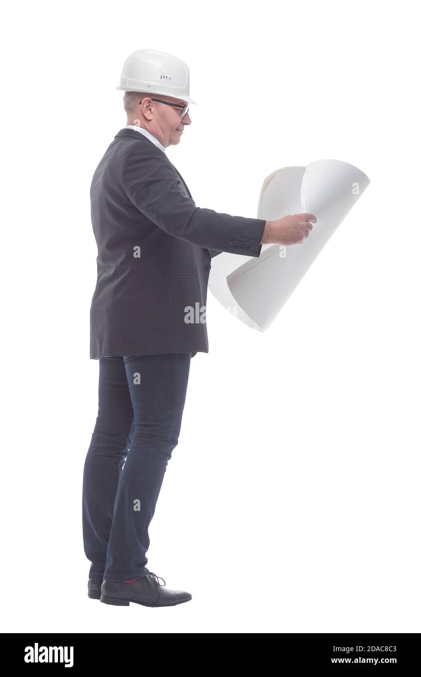 side view. experienced architect carefully reading the new drawing. Stock Photo