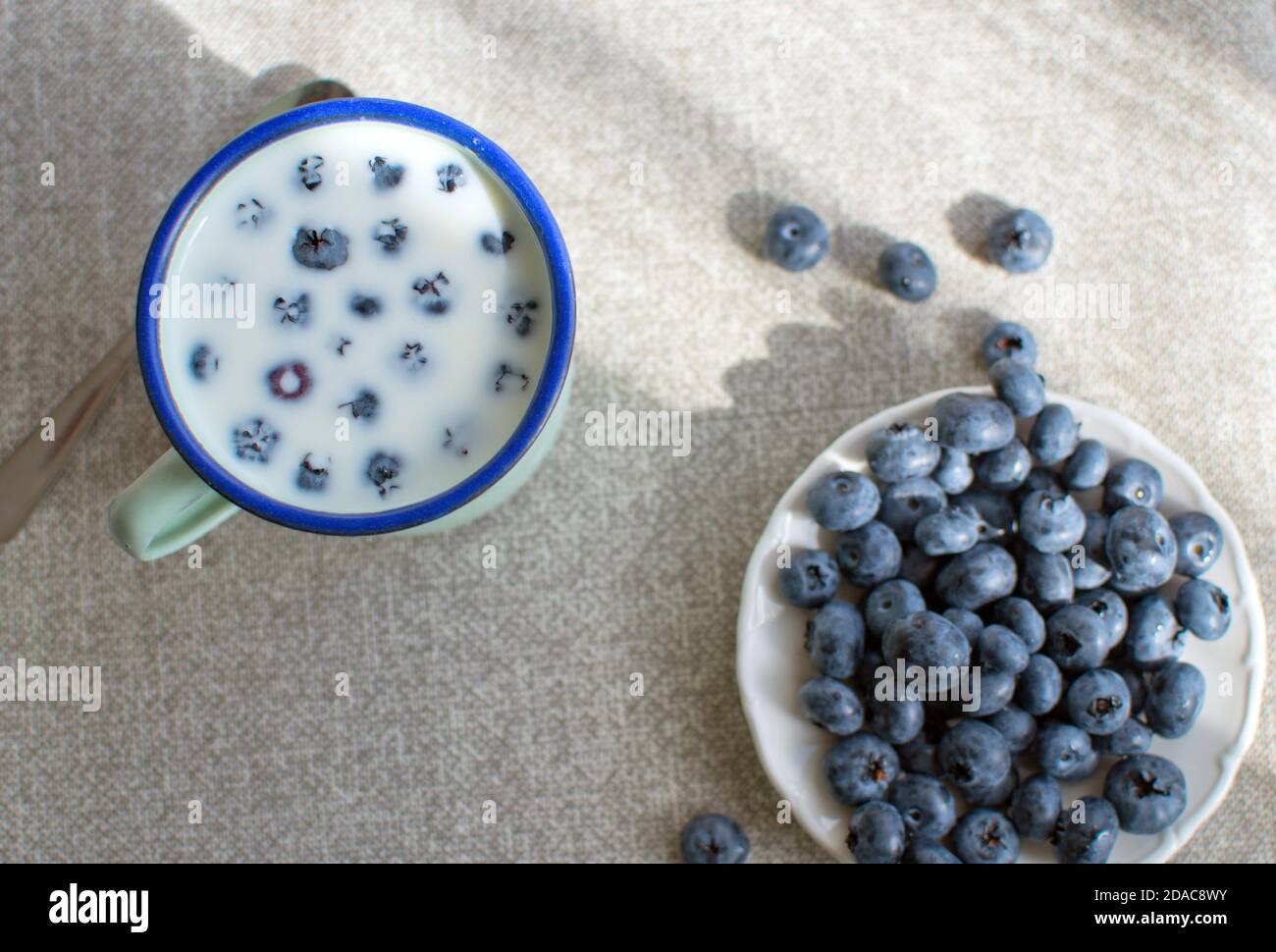 Enamel mug with milk and blueberries Stock Photo