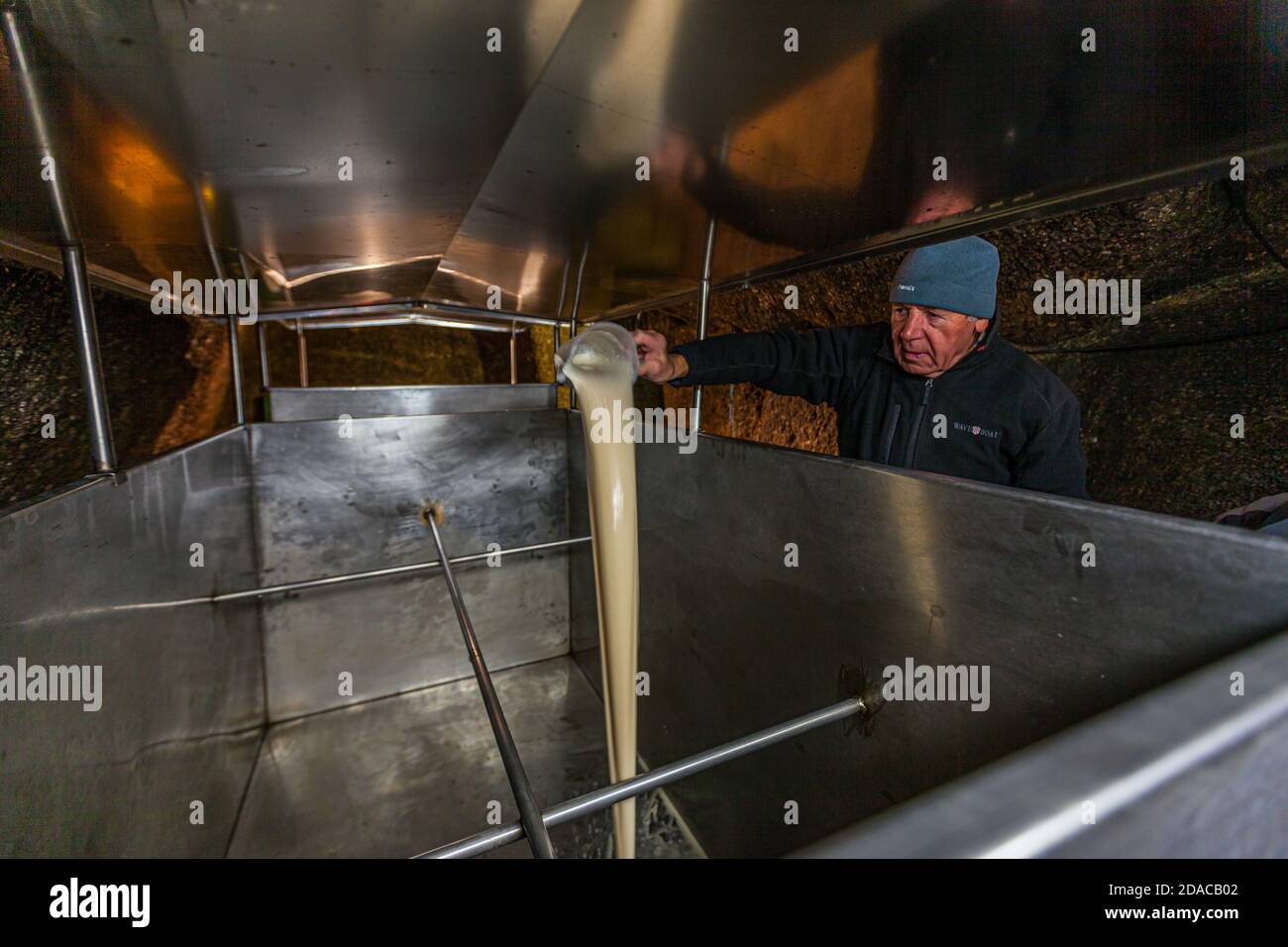 In-house brewer first fills liquid yeast into the tank, so that it mixes well with the beer Zoigl-Beer-Wort storage in rock-cut cellar in Falkenberg, Germany Stock Photo