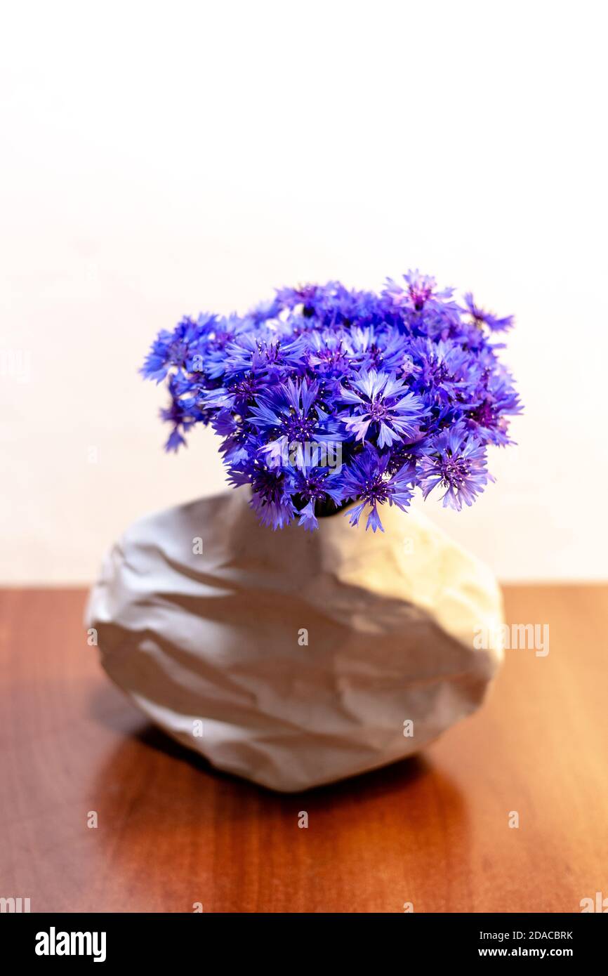 Beautiful bouquet of cornflowers on a white background Stock Photo
