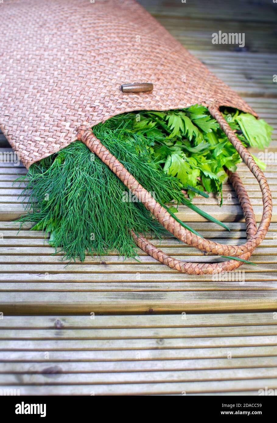 Eco friendly wicker bag from natural materials with fresh vegetables and herbs in it dills
