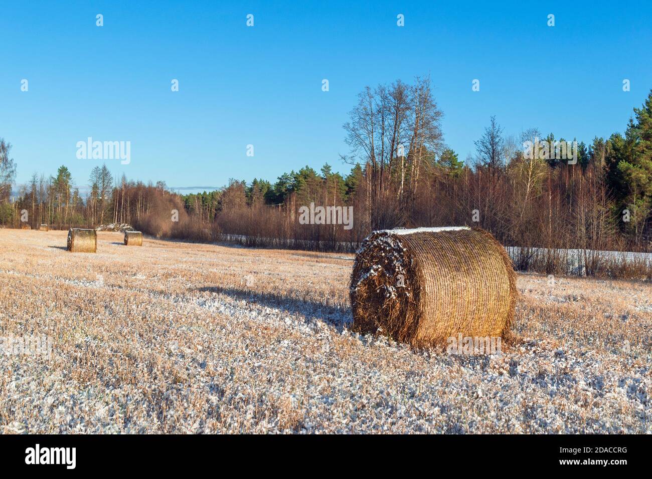 Country scene with hay rolls hi-res stock photography and images - Alamy