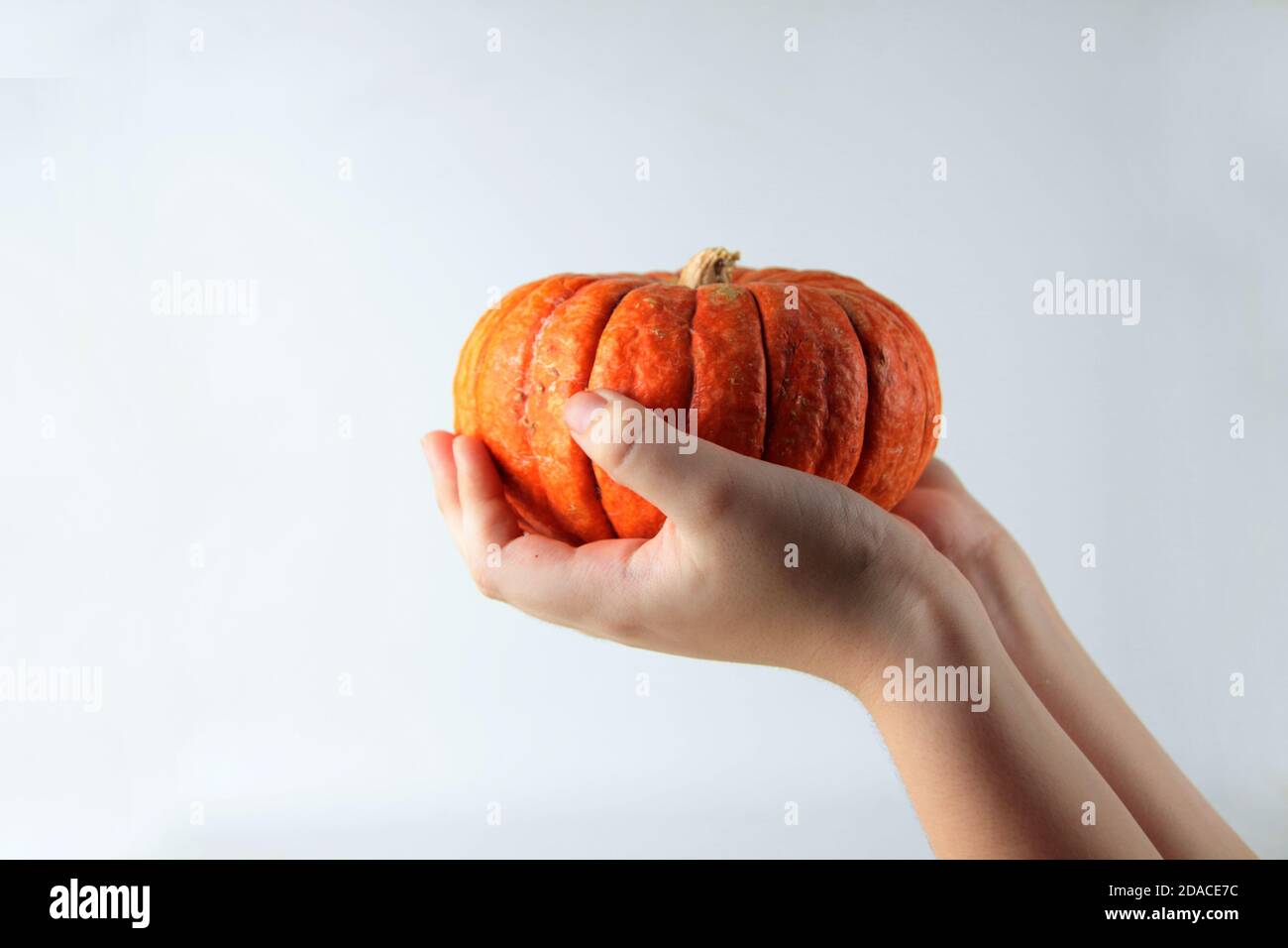kids hands with pumpkin isolated on white backgroud. Image contains copy space Stock Photo