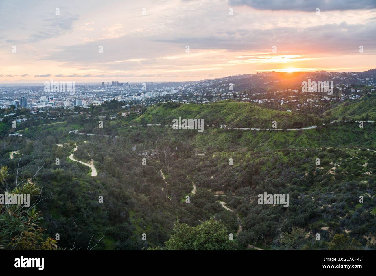 hollywood hills in los angeles