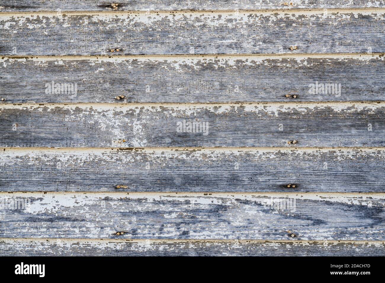 Weathered white and gray wood plank background with peeling paint Stock Photo