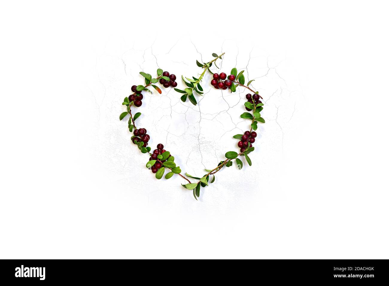 Heart lined with twigs with leaves fresh berries cranberries. On a white texture background. With one empty stem on top. Stock Photo