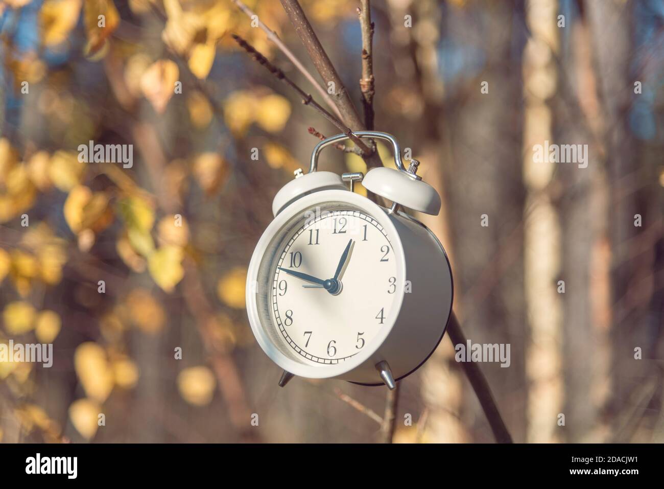 450+ Daylight Savings Time Ends Stock Photos, Pictures & Royalty