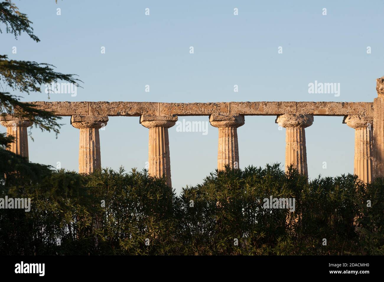 The Tavole Palatine ('Palatine Tables') are the remains of a hexastyle peripteral Greek temple of the sixth century BC, dedicated to the goddess Hera. Stock Photo