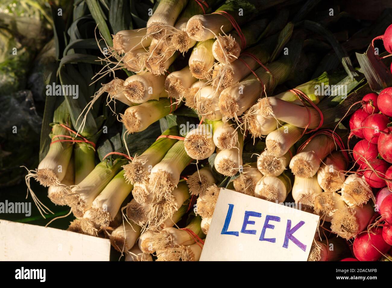 Leeks and radishes, Farmer's Market, E USA, by James D Coppinger/Dembinsky Photo Assoc Stock Photo