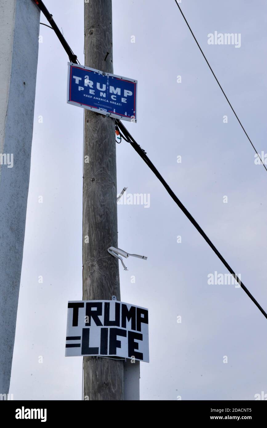 Melbourne Beach. Brevard County, Florida, USA. November 11, 2020. Illegal political campaign signs are being attached to Florida Power and Light transmission poles along State Road A1A. As signs are blown away by the wind before, during and after the election they are being replaced with news sayings. It is illegal in Florida to attach any signs to utility poles. Credit: Julian Leek/Alamy Live News Stock Photo