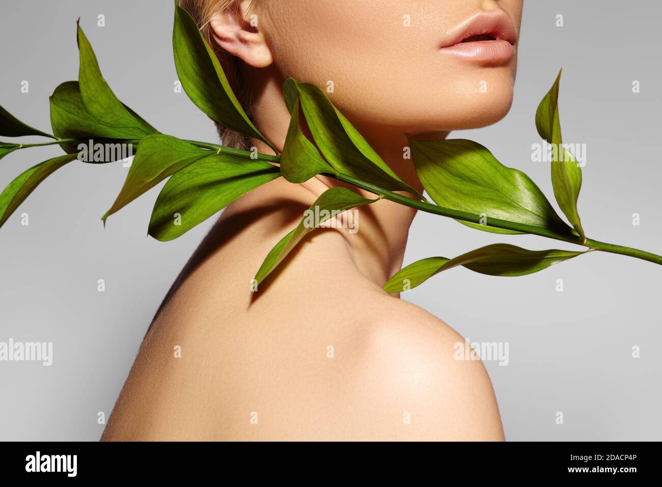 Beautiful woman applies Organic Cosmetic. Spa and Wellness. Model with Clean Skin. Healthcare. Picture with leaf on grey background Stock Photo