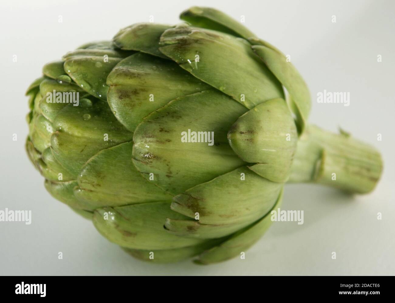 Green artichoke with water droplets on white background. Stock Photo