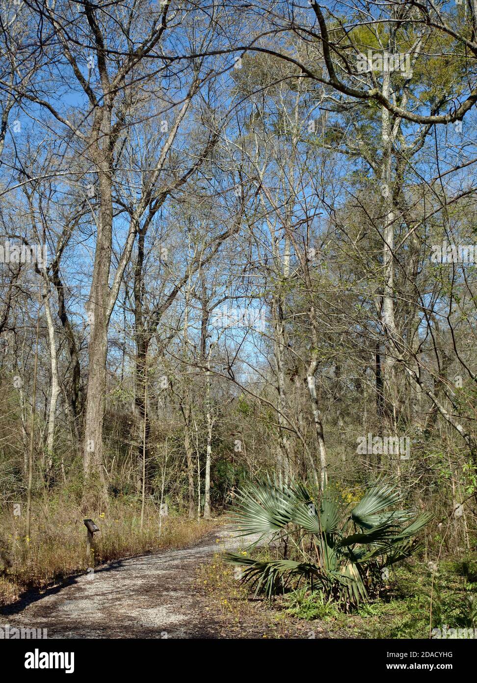 Burden baton rouge hires stock photography and images Alamy