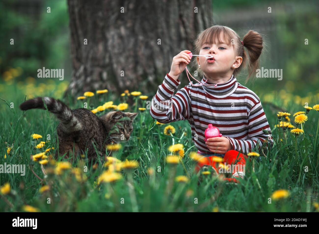 Lovely little girl playing with a cat and soap bubbles in the park ...