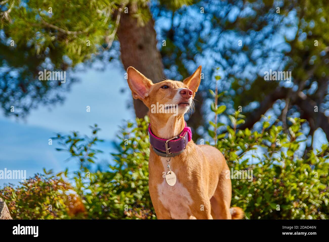 Enjoy beauty bright colors hi-res stock photography and images - Alamy