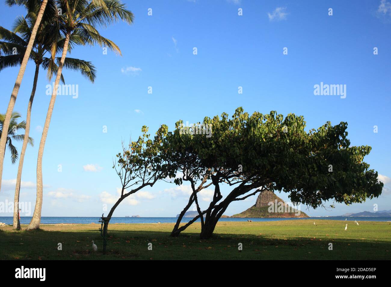 Hawaiian scenery Stock Photo