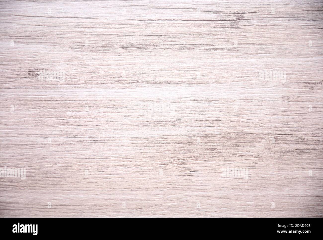 Whitewashed oak, a bright pattern of natural light wood on a saw cut
