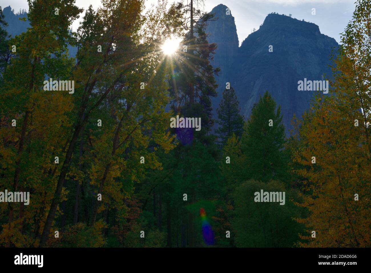 Fall Colors in Yosemite National Park Stock Photo
