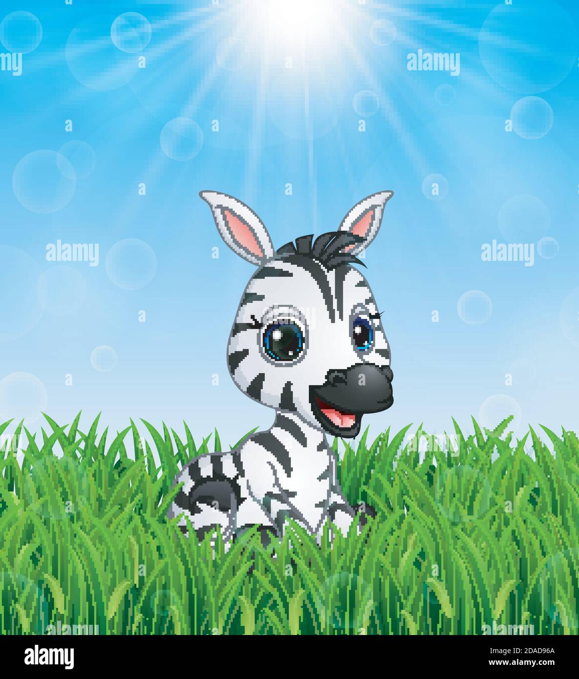 Vector illustration of Cute baby zebra cartoon in the grass on a background  of bright sunshine Stock Vector Image & Art - Alamy