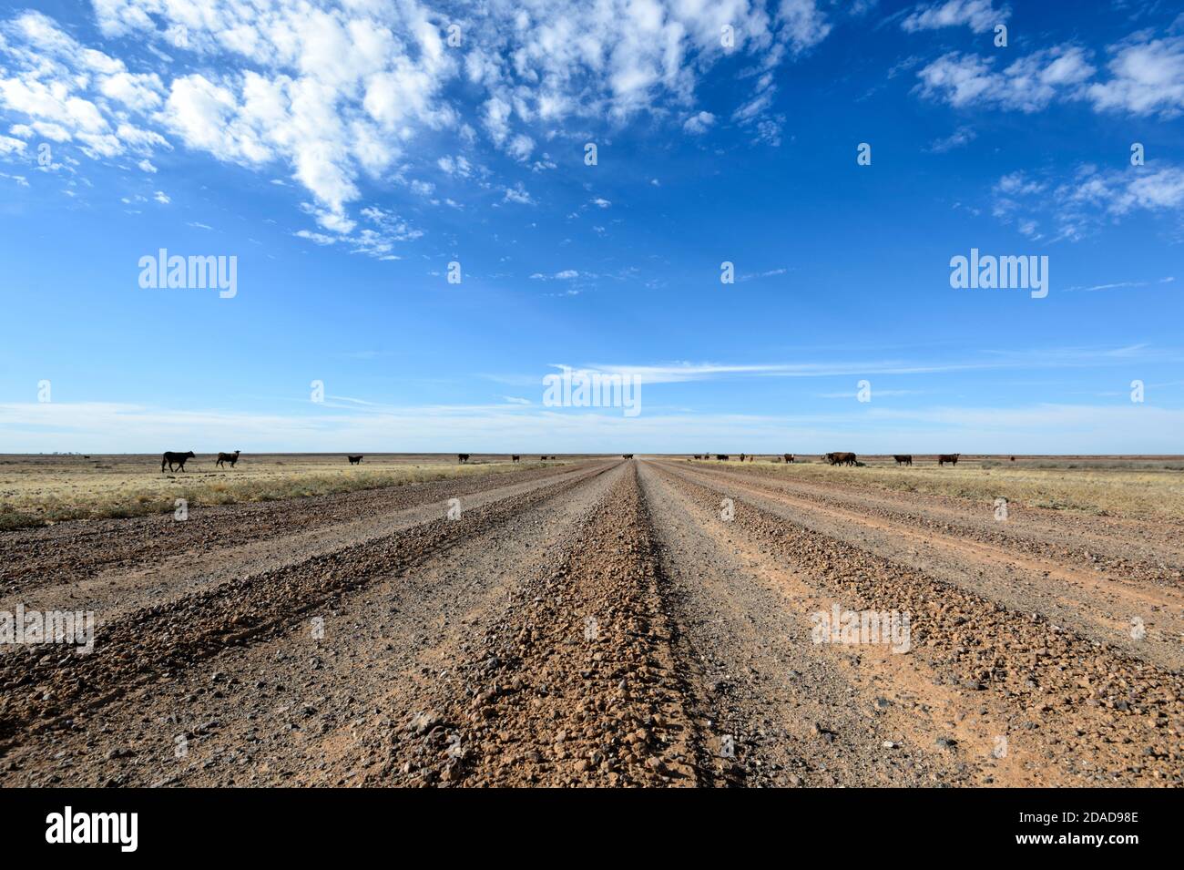 Arid gibber plains hires stock photography and images Alamy