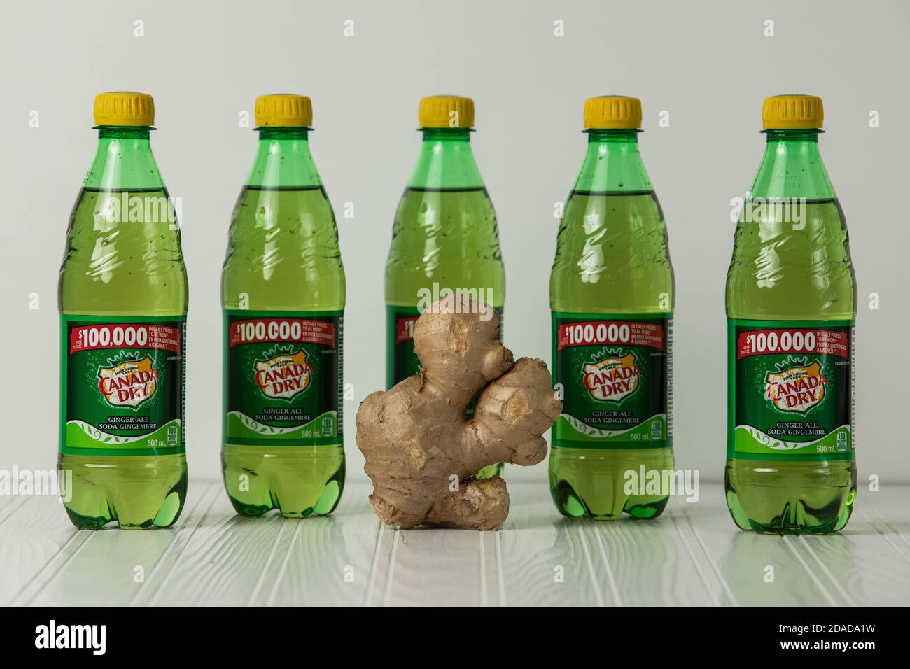 Is Ginger Ale Good For Dogs