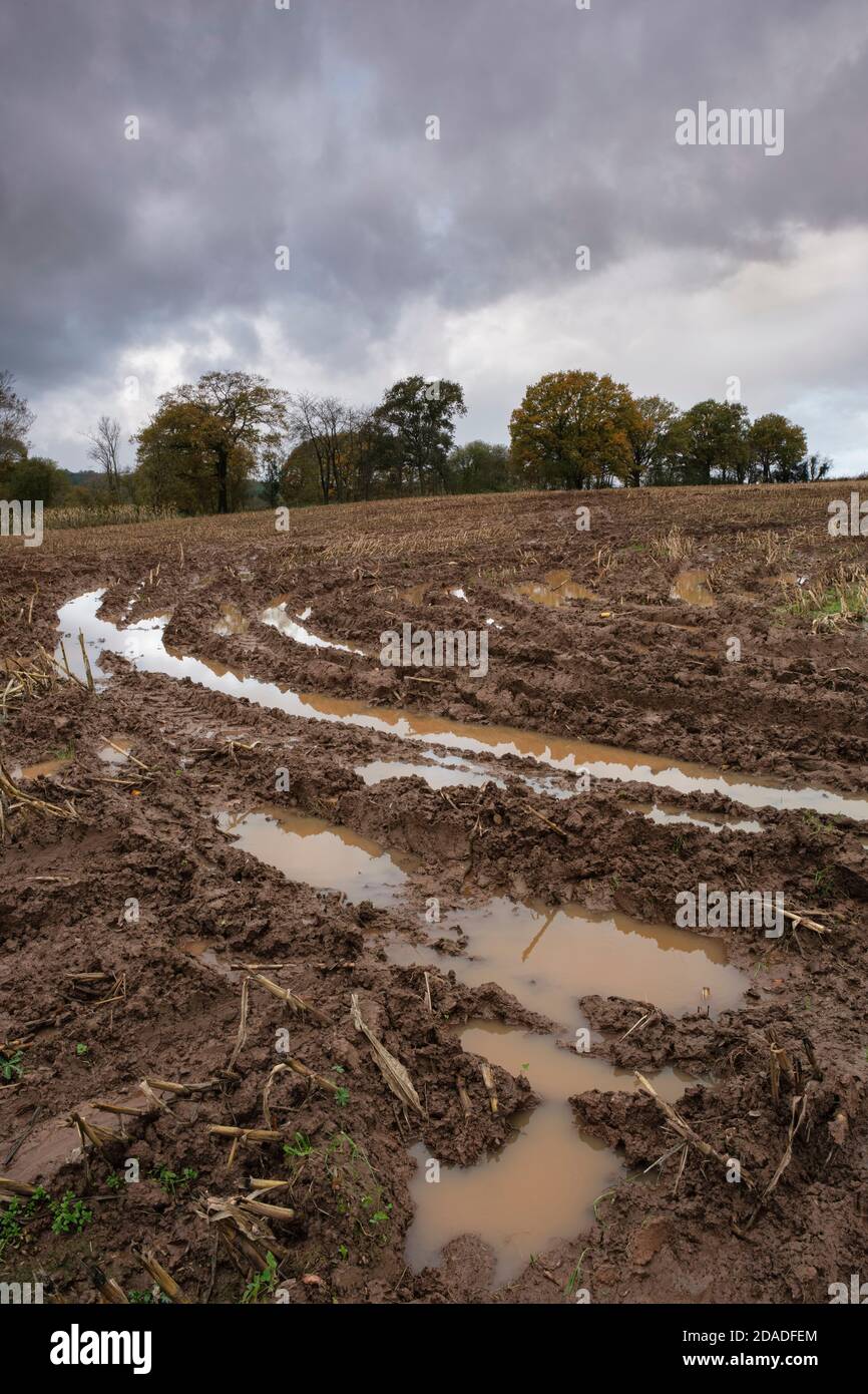 Waterlogged farmland near Monmouth in South Wales. Stock Photo