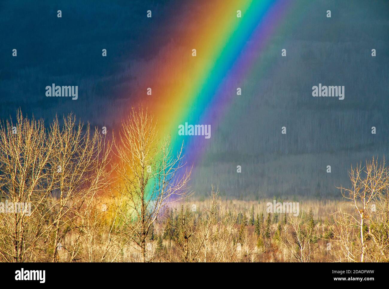Rainbow along the Highway of Tears, in the Bulkley Valley, along the Yellowhead Highway, from Edmonton, Alberta, to Prince Rupert, British Columbia. Stock Photo