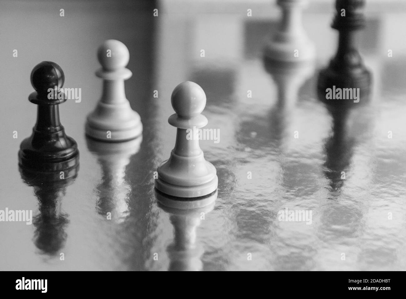 Photograph of black and white chess pieces. Strategy game. Pawns with reflections on original background Stock Photo