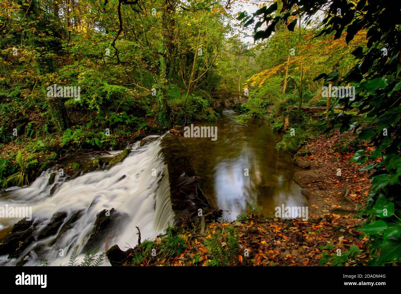 The river Cabra at Dun A Ri Forest Park, County Cavan, Ireland Stock Photo