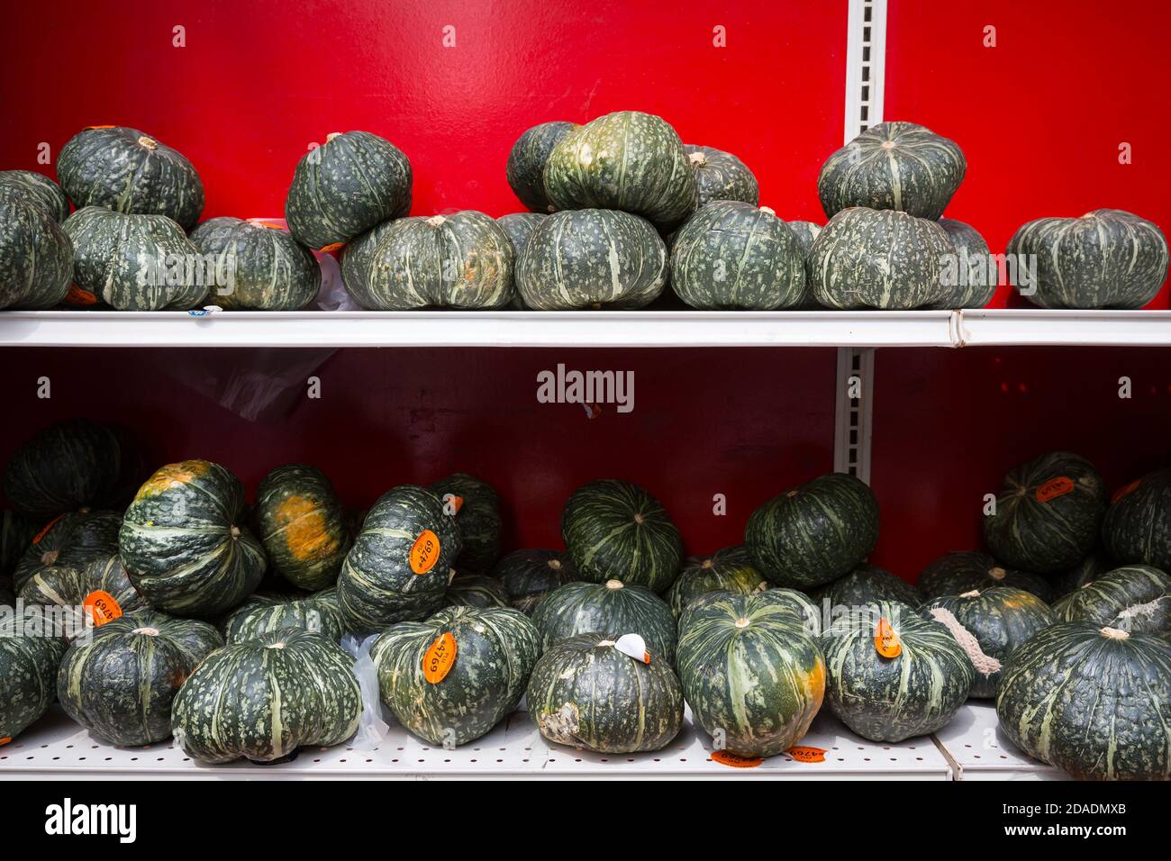 Squash Kabocha at Chinatown fruit market in New York City Stock Photo