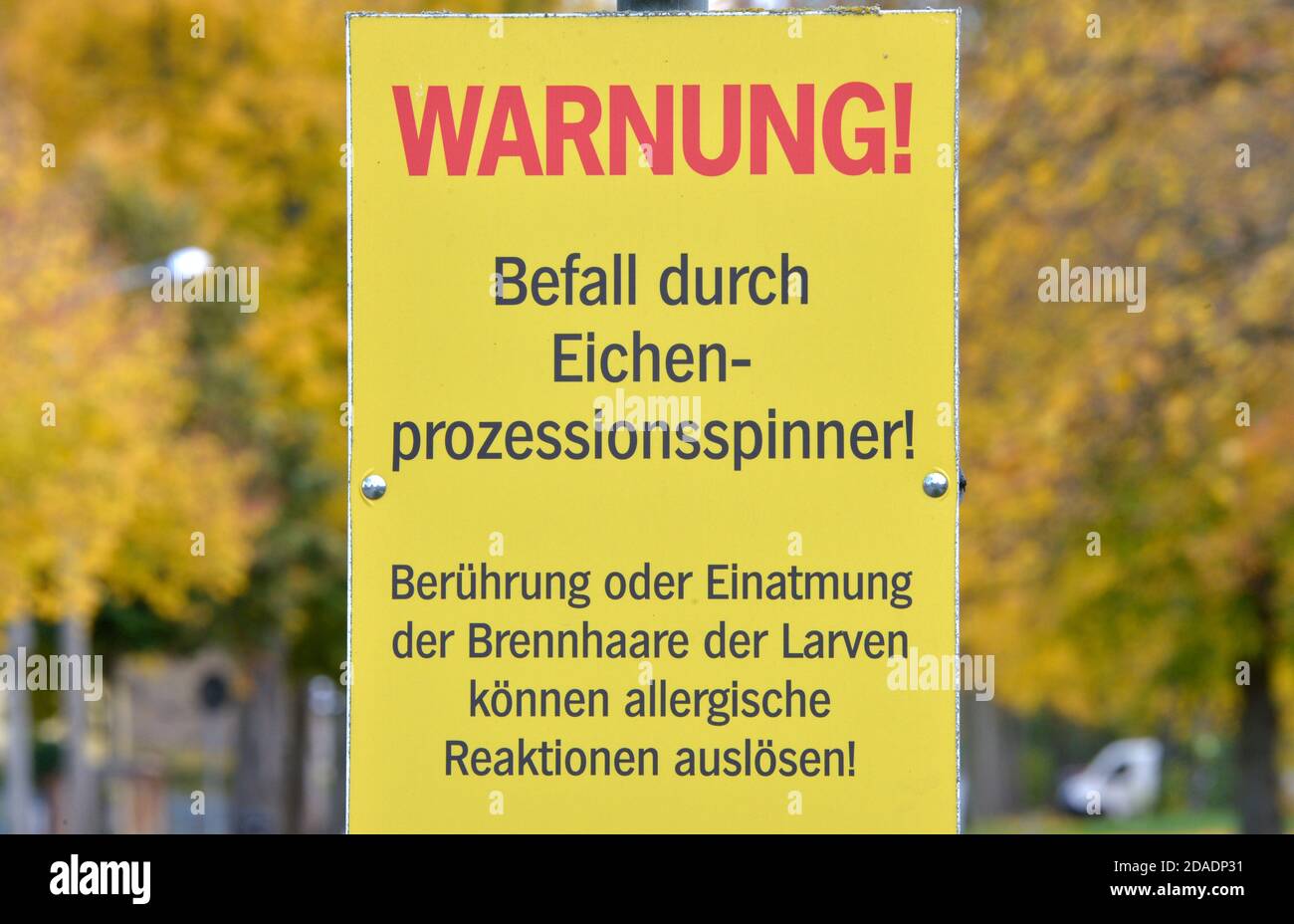 Teltow, Germany. 28th Oct, 2020. Warning! Infestation by oak processional mothers! Touching or inhaling the stinging hairs of the larvae can cause allergic reactions! is written on a sign in a village near Teltow. The insect has caused increasing forest damage in recent years. Credit: Volkmar Heinz/dpa-Zentralbild/ZB/dpa/Alamy Live News Stock Photo