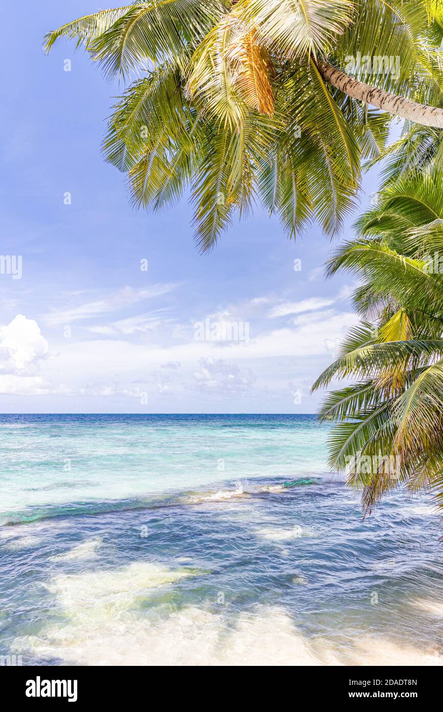 Tropical Hues Exotic Vibes