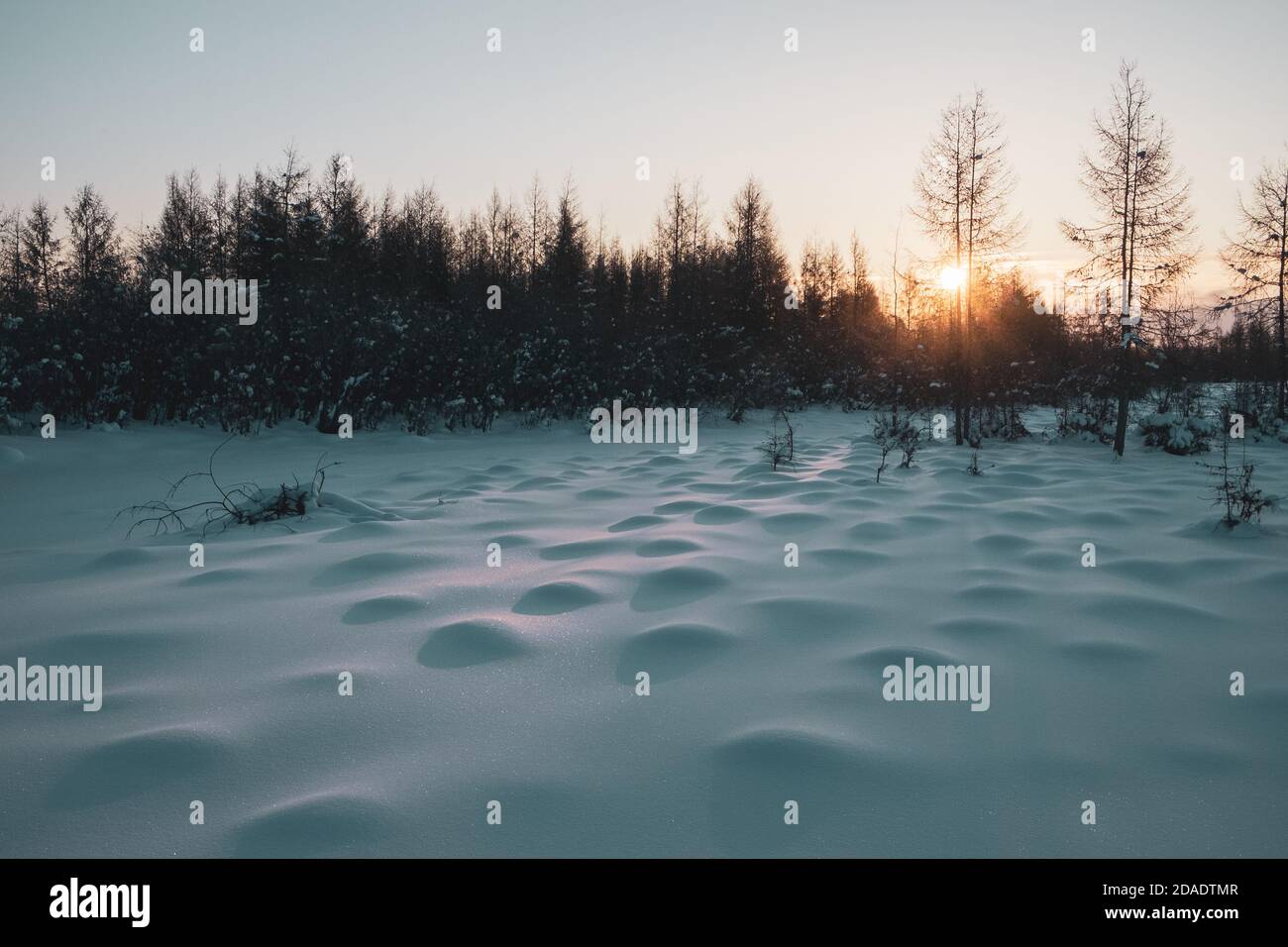 The sun rises over a forest in the Siberian town of Oymyakon, the coldest inhabited place in the world. Stock Photo