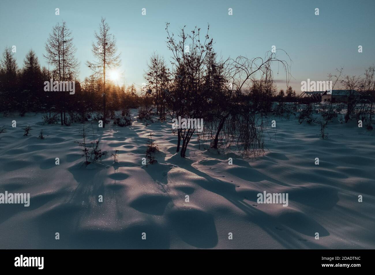 The sun rises over a forest in the Siberian town of Oymyakon, the coldest inhabited place in the world. Stock Photo