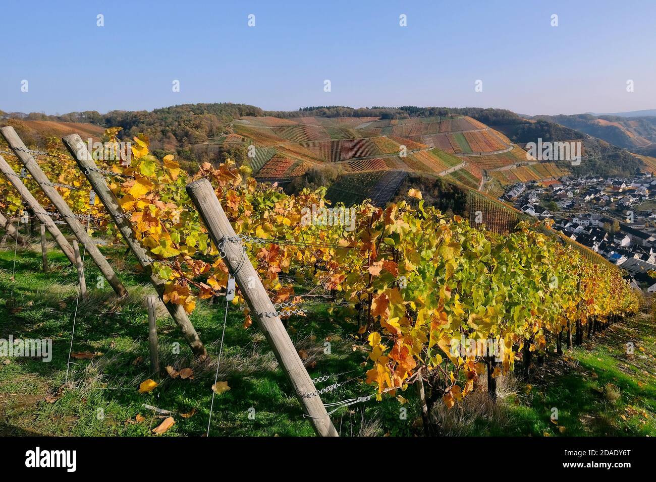 Colourful autumn atmosphere in the vineyards of the Ahr valley, Rhineland-Palatinate, Germany. Stock Photo