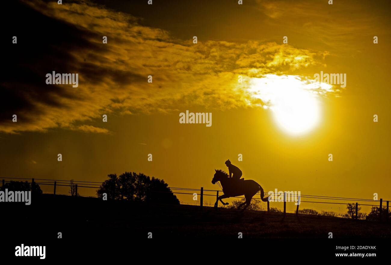 A Horse from Sam Drinkwater's Granary Stables in Upper Strensham on the