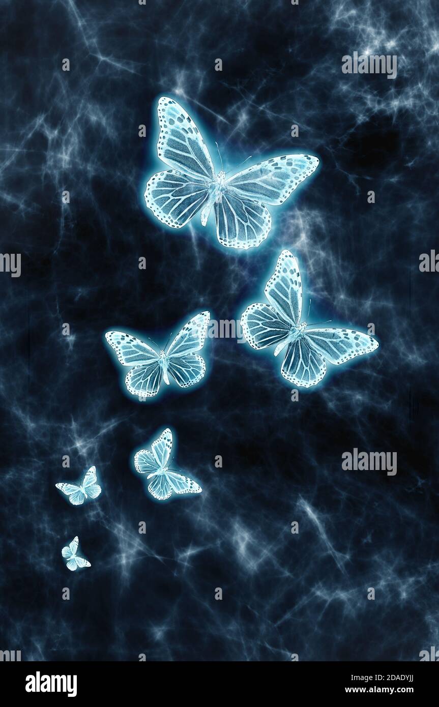 Featured image of post Blue Glow Butterfly Png Blue wind blue wavy electric blue butterfly cobalt blue pokemon red and blue blue neighbourhood