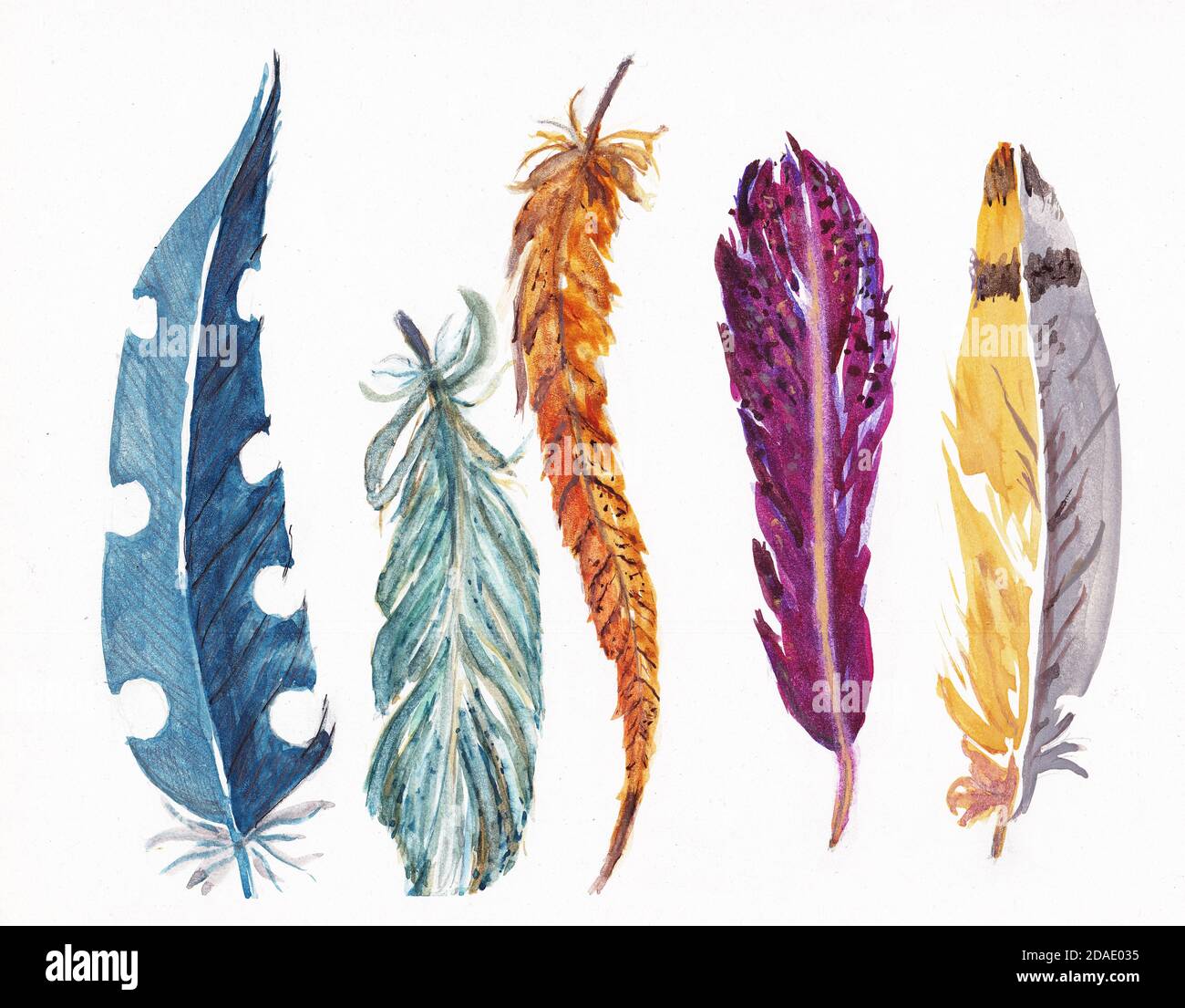 Set of multicolored feathers watercolor illustration. Colored bright