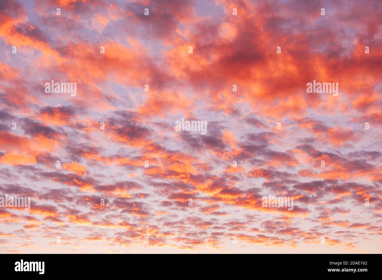 Dramatic sunset sky with pink and purple clouds Stock Photo - Alamy
