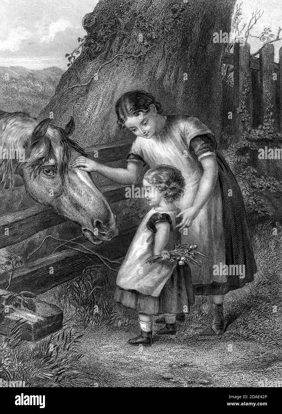 Want of Confidence Children approach a horse with fear and caution from Godey's Lady's Book and Magazine, Marc, 1864, Volume LXIX, (Volume 69), Philadelphia, Louis A. Godey, Sarah Josepha Hale, Stock Photo