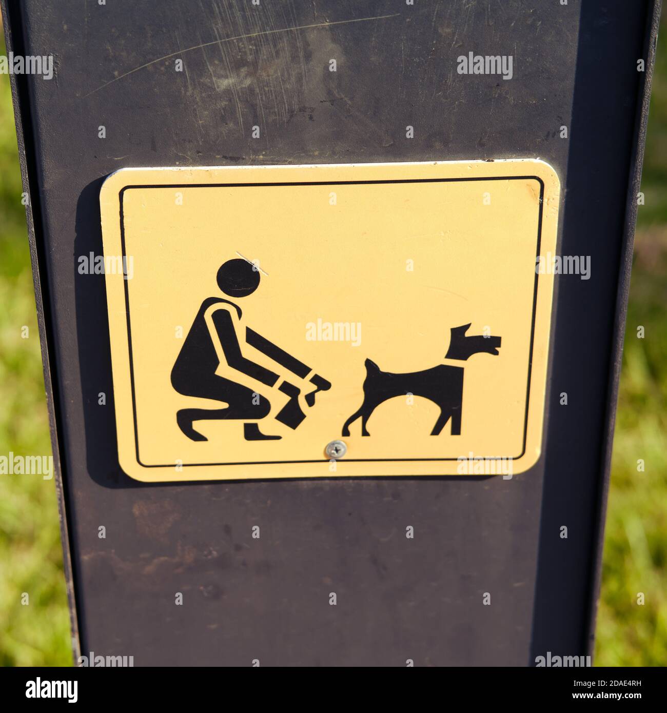 Trash can for cleaning up after a dog Stock Photo Alamy
