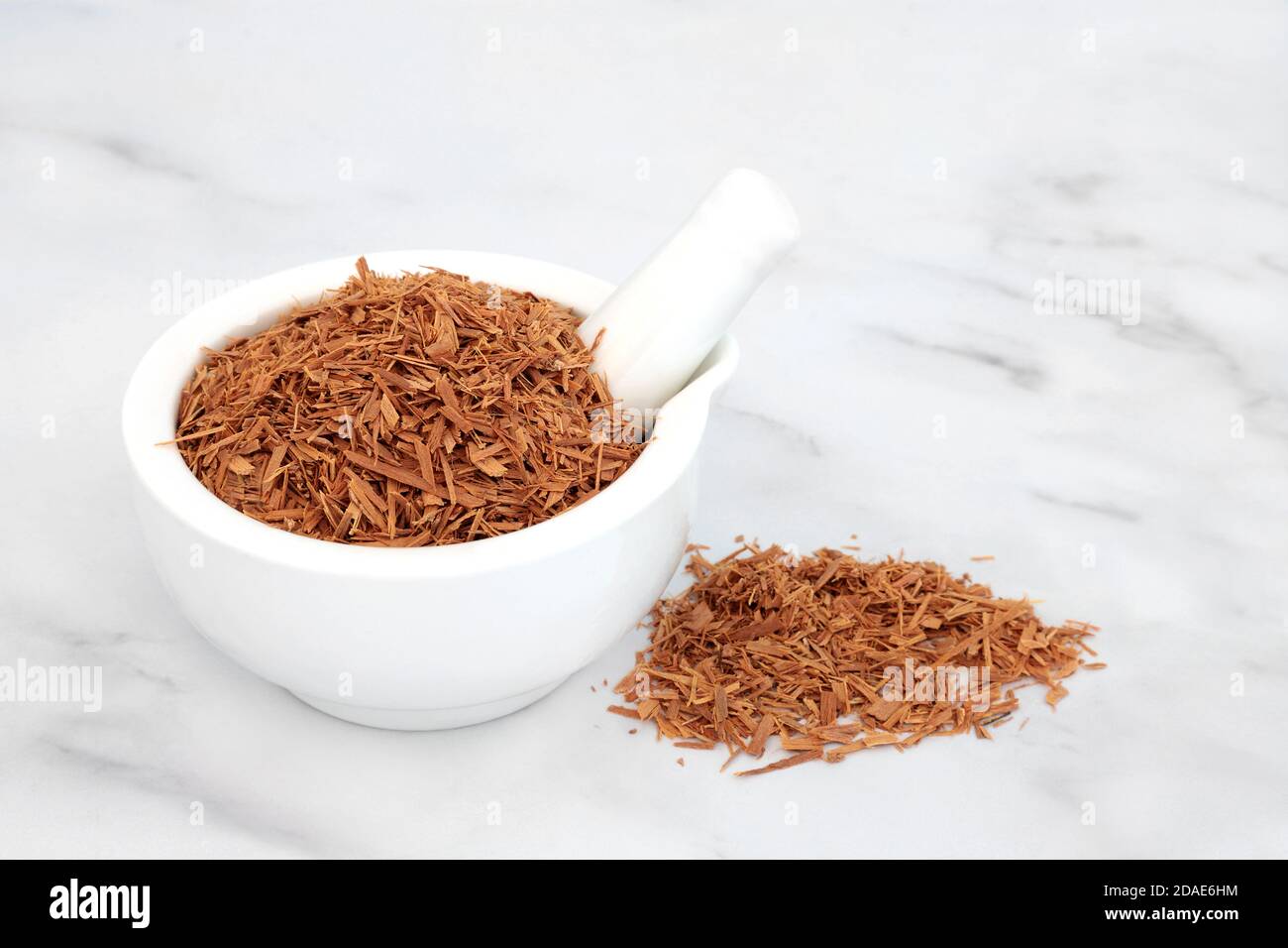 Cats claw bark herb used in herbal medicine to treat viral infections