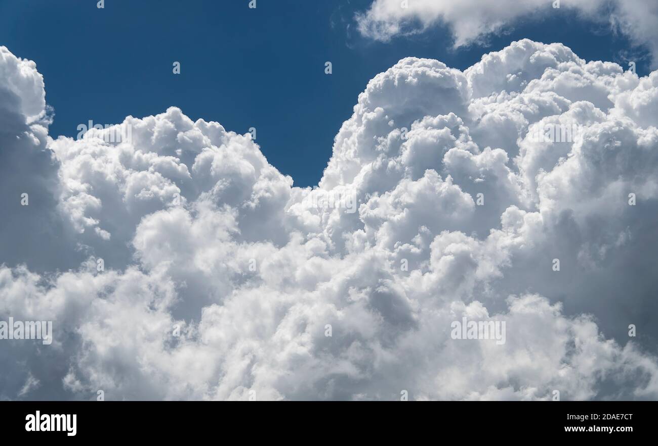 Billowing Cumulus clouds dramatic white and grey in a blue sky