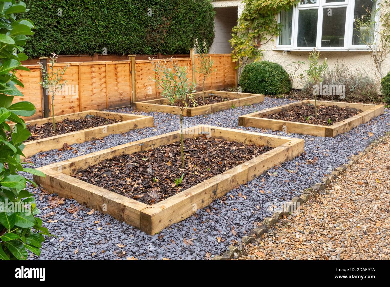 Four rectangular raised beds in a front garden Stock Photo