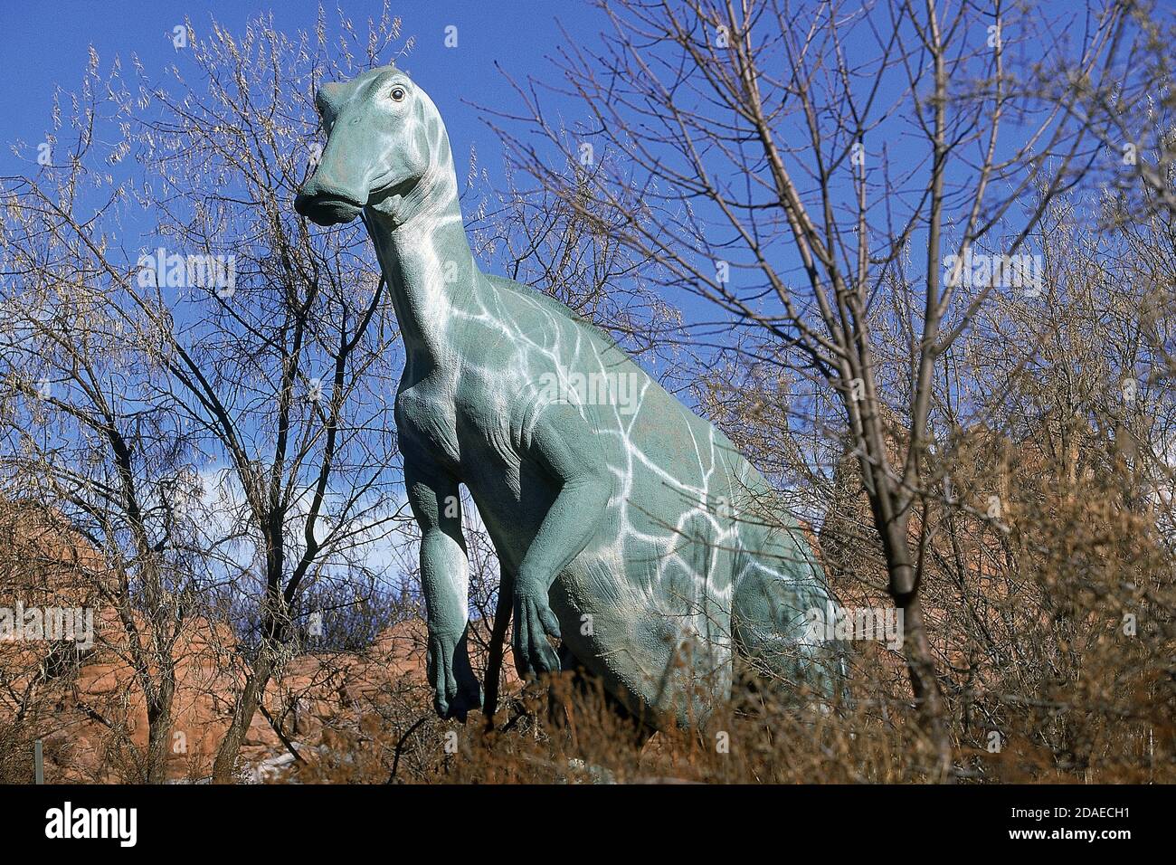 Anatosaurus hi-res stock photography and images - Alamy