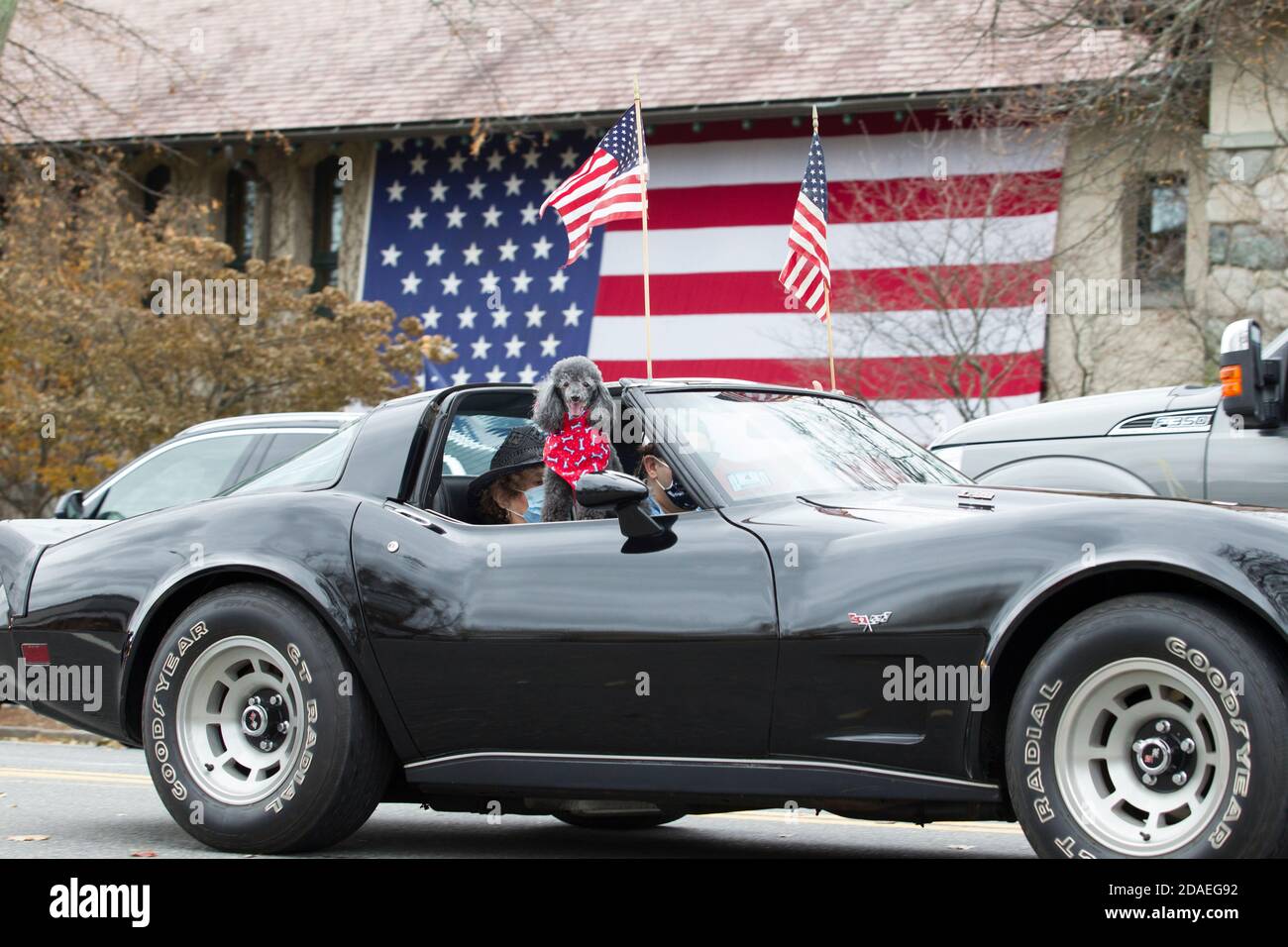 Veterans Car Parade held in Lexington, MA USA on Wednesday, November 11