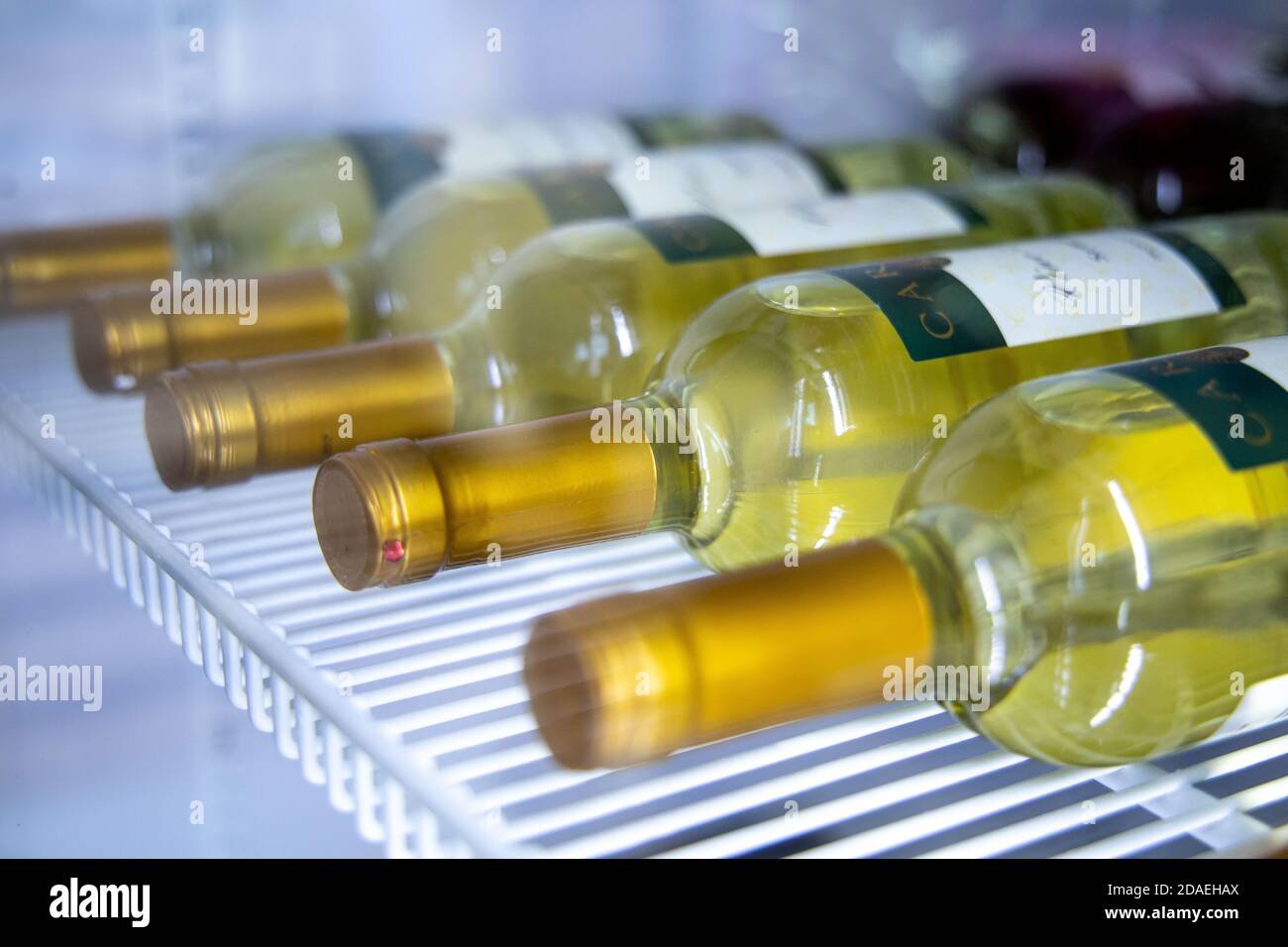 Rows of white wines on a shelf in a restaurant fridge, view through the glass: Russia. Moscow 20 December 2019 Stock Photo